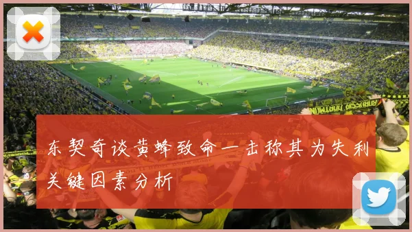 东契奇谈黄蜂致命一击称其为失利关键因素分析